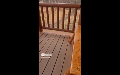 Rain clouds rolling in #Subscribe #Upinalaska #Alaska #Outdoors #Cabin #Camping #Hiking #Fishing