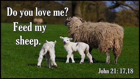 Jesus Wasn't Just Telling Peter To Feed His Sheep