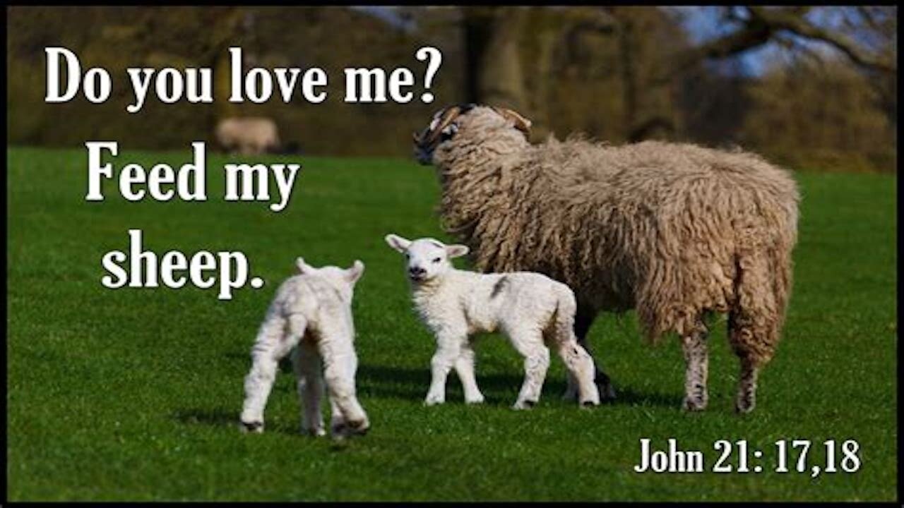 Jesus Wasn't Just Telling Peter To Feed His Sheep