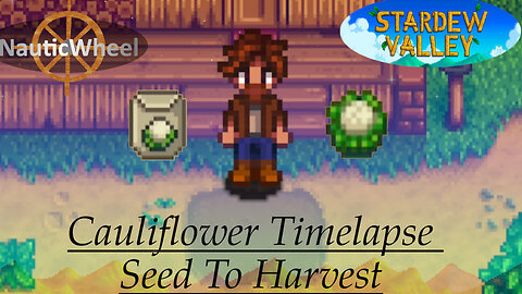 Stardew Valley Plant Timelapse — Cauliflower