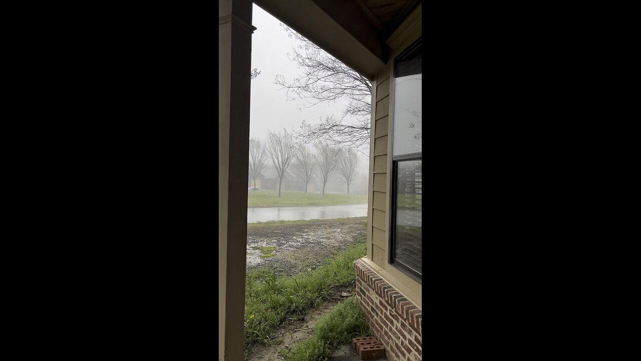 Living In The South 🌀⛈️