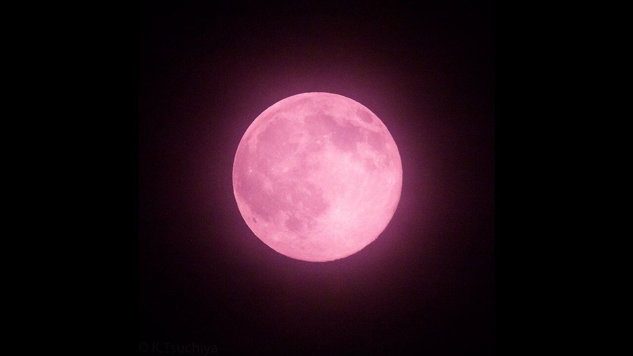 Pink Moon On Passover 2025!