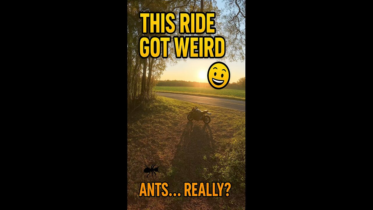 Please Don’t Hit Me, Mr. Car… Also, What Did I Just Run Over?