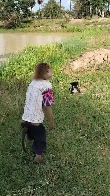 Viral video SokYaa, OG, Pao & Mom Are Famous Around The World #shorts #anime #trend #edit