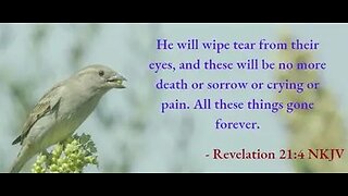 The Lamb is the Light Revelations 21:1-10 with Dr. Tom Knotts, Jr.