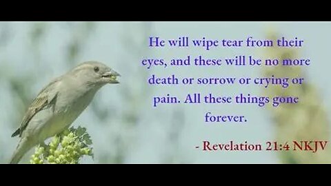 The Lamb is the Light Revelations 21:1-10 with Dr. Tom Knotts, Jr.