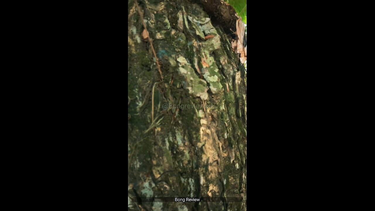 Ever feel like your dreams are too big?