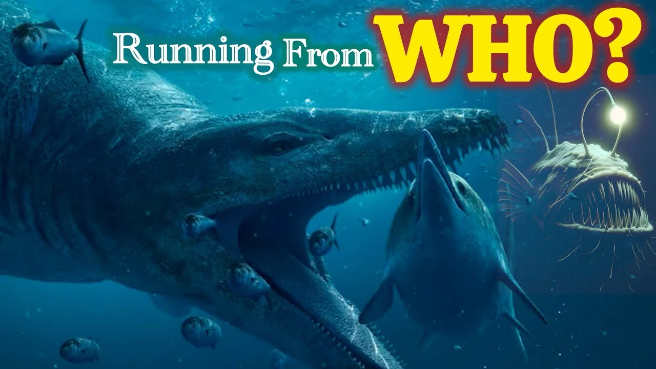 "Deep Sea Creatures Are Escaping"… But From What? WHAT'S HAPPENING?