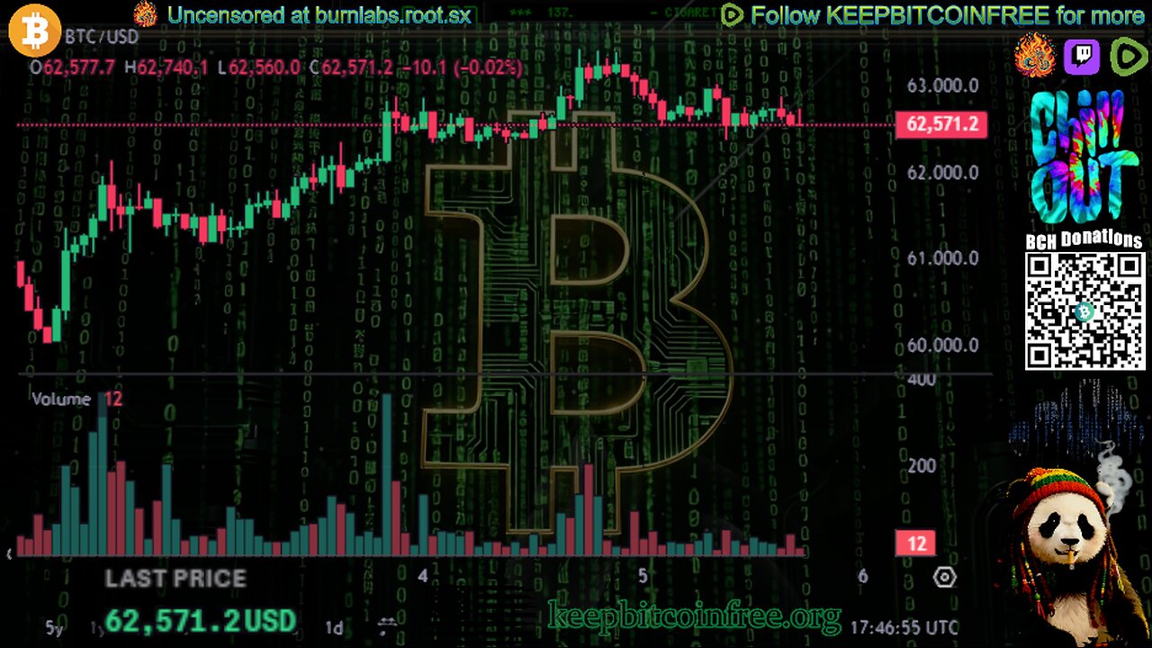 bitCOIN TRADER | LIVE BTC Price Charts & LoFi Music