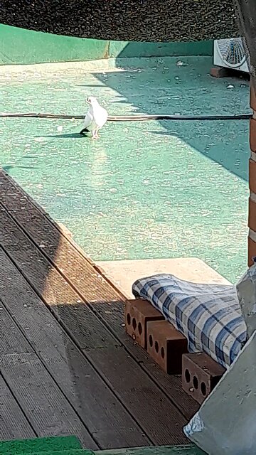 20251107. God made the world.