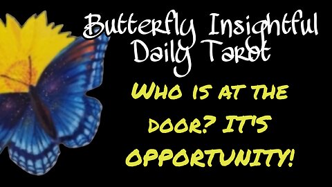 Butterfly Insightful Daily Tarot - Opportunity is knocking at the door!