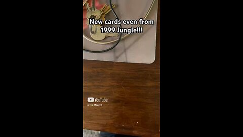1999 Jungle Pokemon Cards!!!