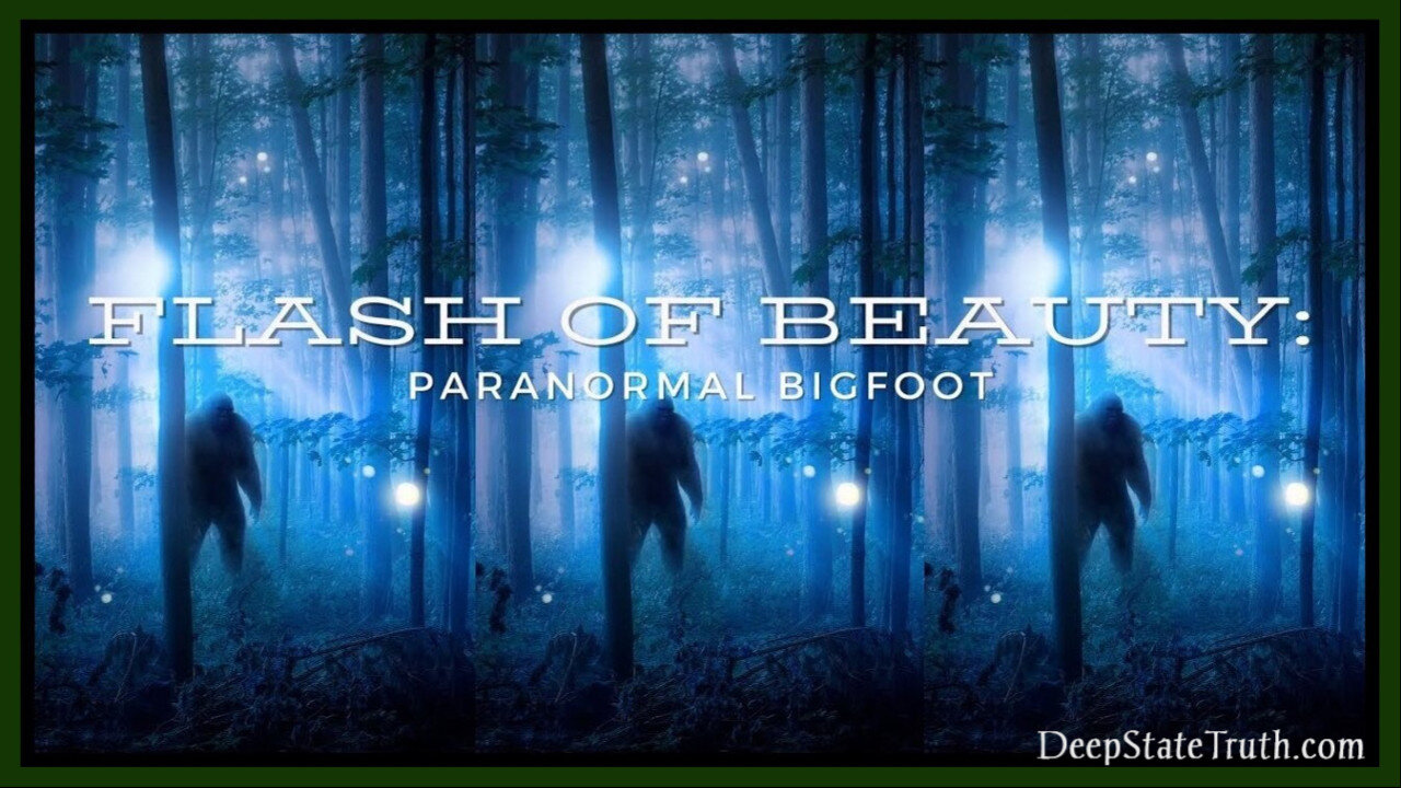 🎬 Documentary (2021) 'A Flash Of Beauty: Bigfoot Revealed' 👀 A Journey Into the Weird World of Sasquatches
