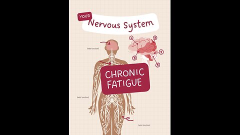 nervous system & chronic fatigue