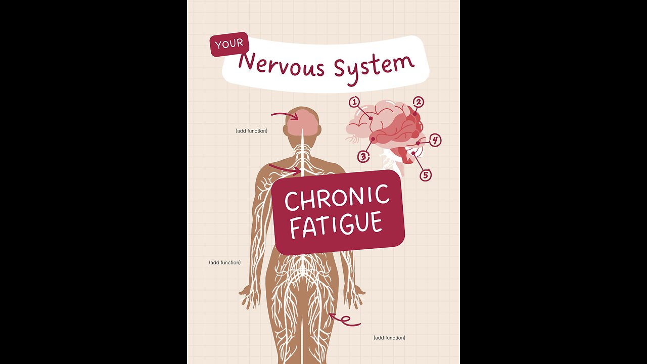 nervous system & chronic fatigue