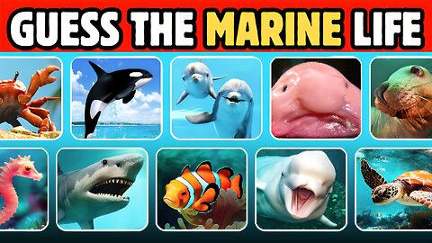 Only 1% Can Name All These Sea Animals! 🧠🌊 | Marine Quiz 2025