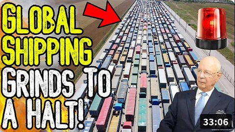 ALERT: GLOBAL SHIPPING GRINDS TO HALT! Net Zero Meat Bans & Panic Buying Imminent!