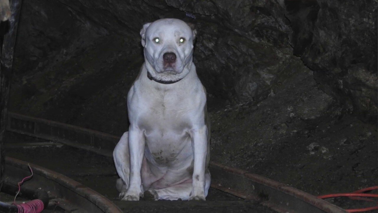 The original forest on flat earth part 9, Gold Silver and Quartz