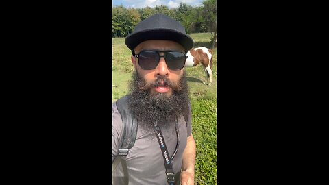 Equino - Sergio Salgado - Grotul