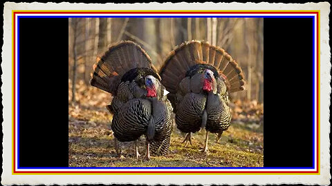 PRICES SET TO EXPLODE IN BLUE STATES 1 JANUARY