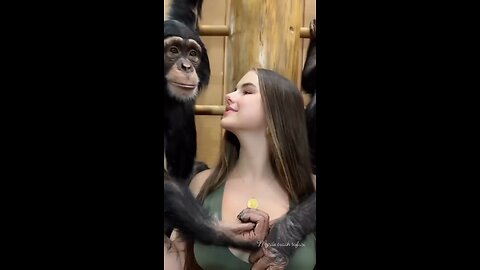 Monkey and Gorgeous Girl Share Unbelievable Kiss__ _shortsvideo _viral _love _monkey(720P_HD)