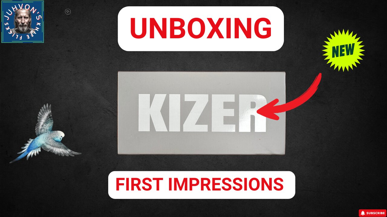 Kizer Knives Just Changed the Game with the NEW Budget Friendly Parakeet
