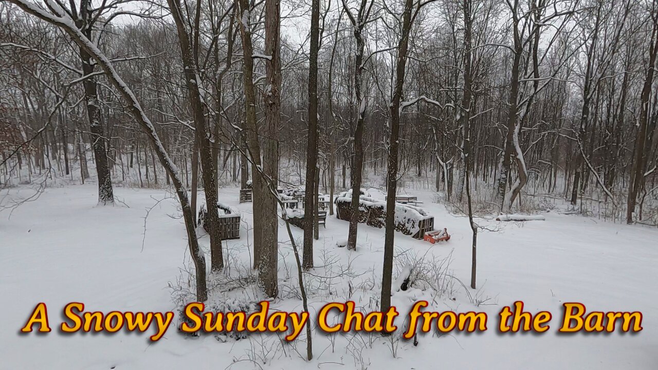 Sunday Snow Chat
