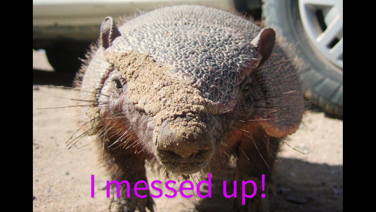 Savage MK 2 Comes Through!! Armadillo Down!