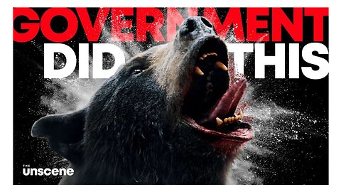 The Preventable Tragedy of Cocaine Bear