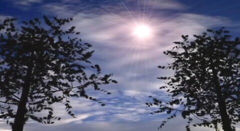 Mystery of the Two Trees ~ THE KEY OF DAVID with Gerald Flurry