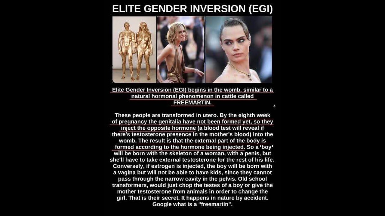 EGI Jon Humanity: Watch this if you don't believe in Transvestigation