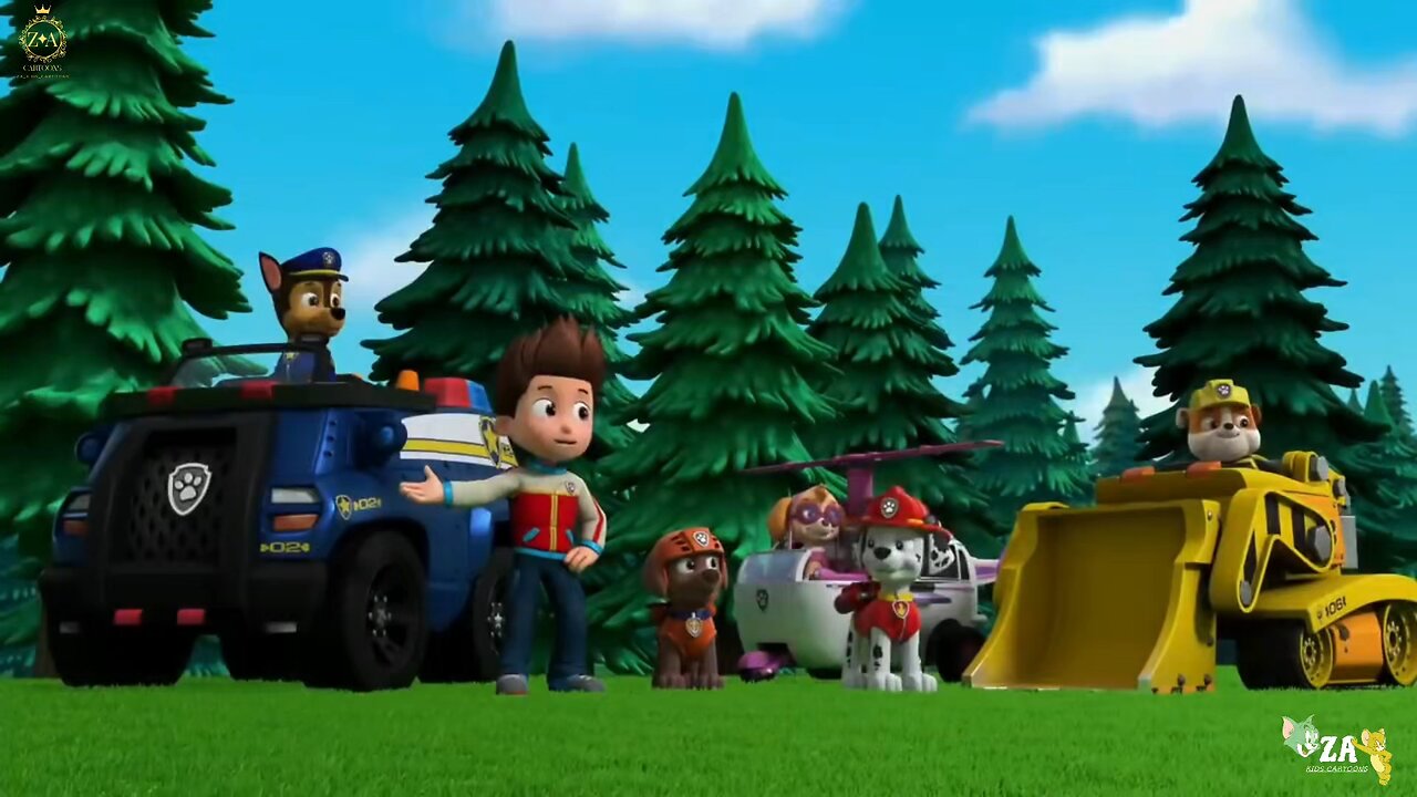PAW Patrol Cartoons