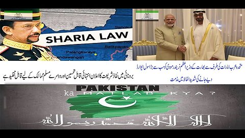 policy statement : Hafiz Aakif Saeed: برونائی میں نفاذ شریعت کا اعلان انتہائی قابل تحسین