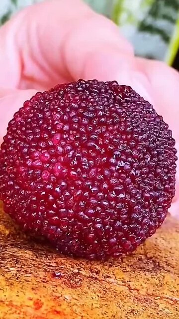 Fruit ASMR | Fruit Recipes | Fruit Plants