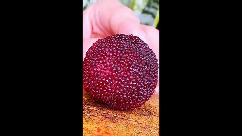 Fruit ASMR | Fruit Recipes | Fruit Plants
