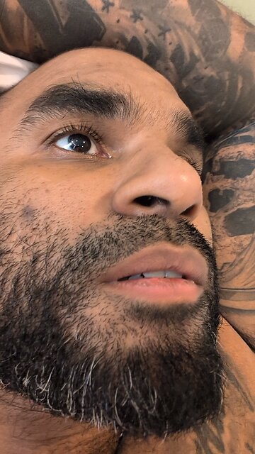 bird house license plates different states.