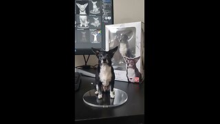 Introducing the "Nano Banana Gemini" Trend: Get a Custom Figurine Just Like Pepper's m