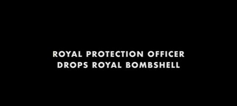 EX ROYAL COP EXPOSES PRINCE ANDREW'S VISITS TO EPSTEIN/MAXWELL