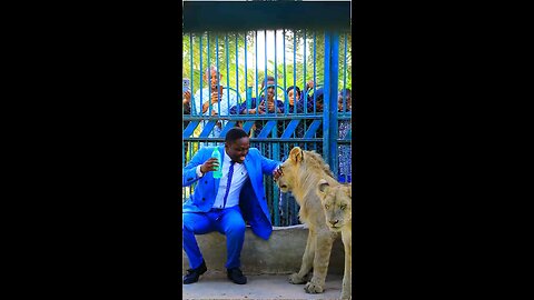 man and lion no protection