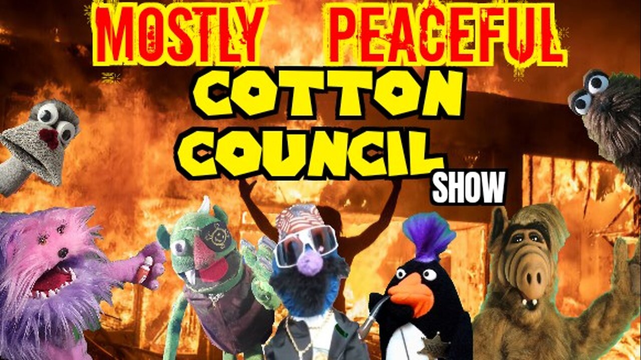 The Mostly Peaceful Cotton Council Show