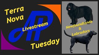 Terra Nova Tuesday - We Talkin' Doggos!!!