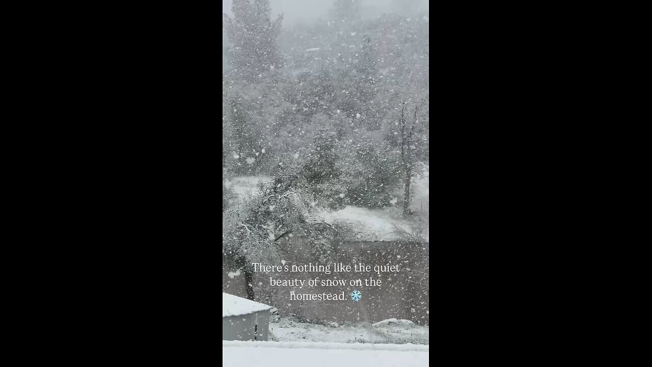 Snow on the Farm in California!!❄️🌨️☃️