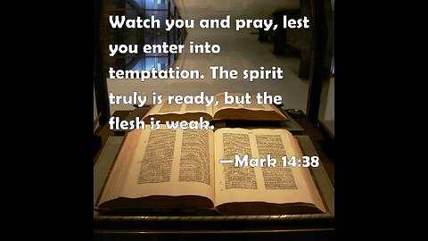 9th Sunday after Pentecost | Luther's Small Catechism – The Lord's Prayer: 7th Petition