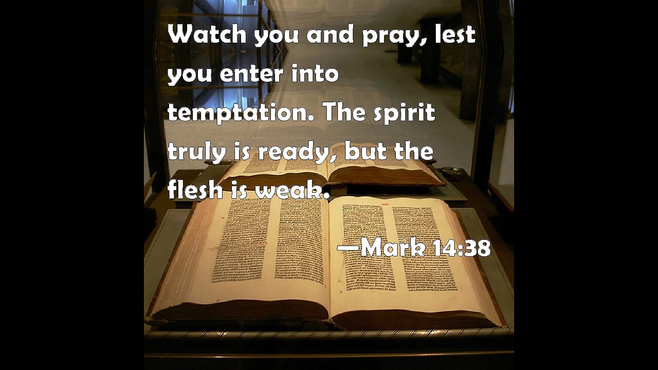 9th Sunday after Pentecost | Luther's Small Catechism – The Lord's Prayer: 7th Petition