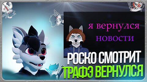 🐺 Роско смотрит ТРАФЭ - я вернулся
