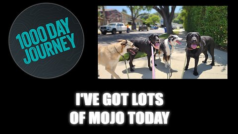1000 Day Journey 0709 I've got lots of Mojo Today