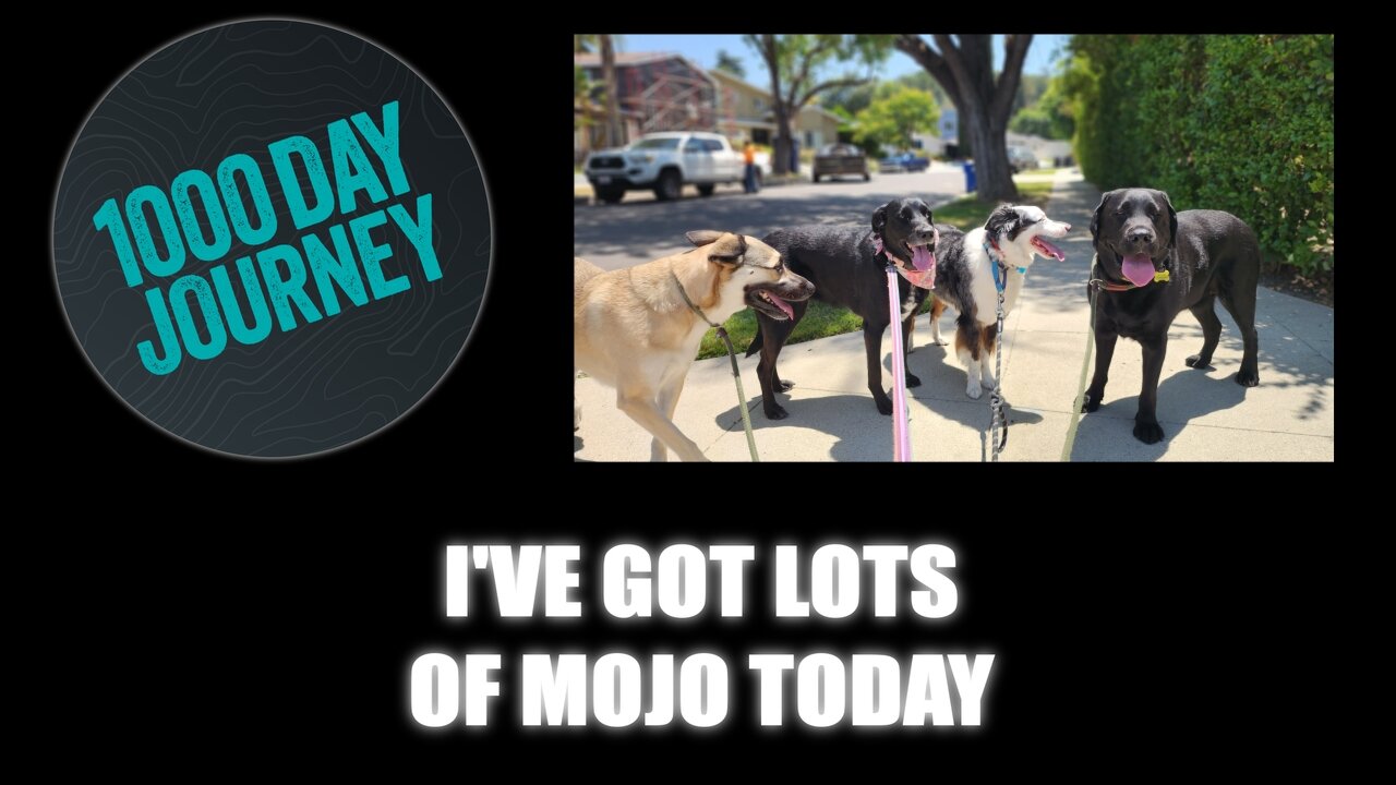 1000 Day Journey 0709 I've got lots of Mojo Today