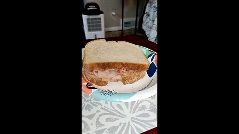 Eating Hillshire Farm Ultra Thin Honey Roasted Turkey Breast, Dbn, MI, 9/21/25