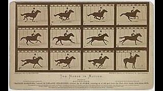El caballo en movimiento (1878)