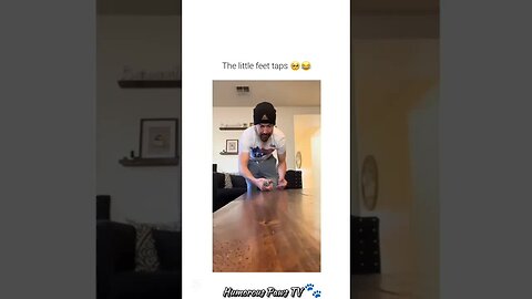 When Pets Are the Funniest Thing on the Internet!